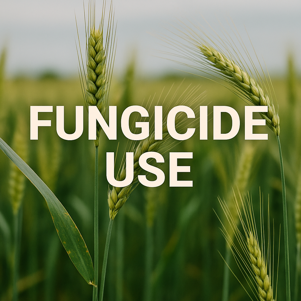 Fungicide Insights – Protecting Turf, Pasture & Broadacre from Disease Pressure