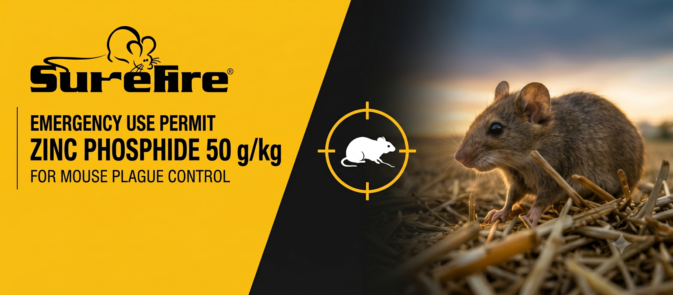 APVMA Issues Emergency Permit for ZnP50 Mouse Bait in Cropping Areas